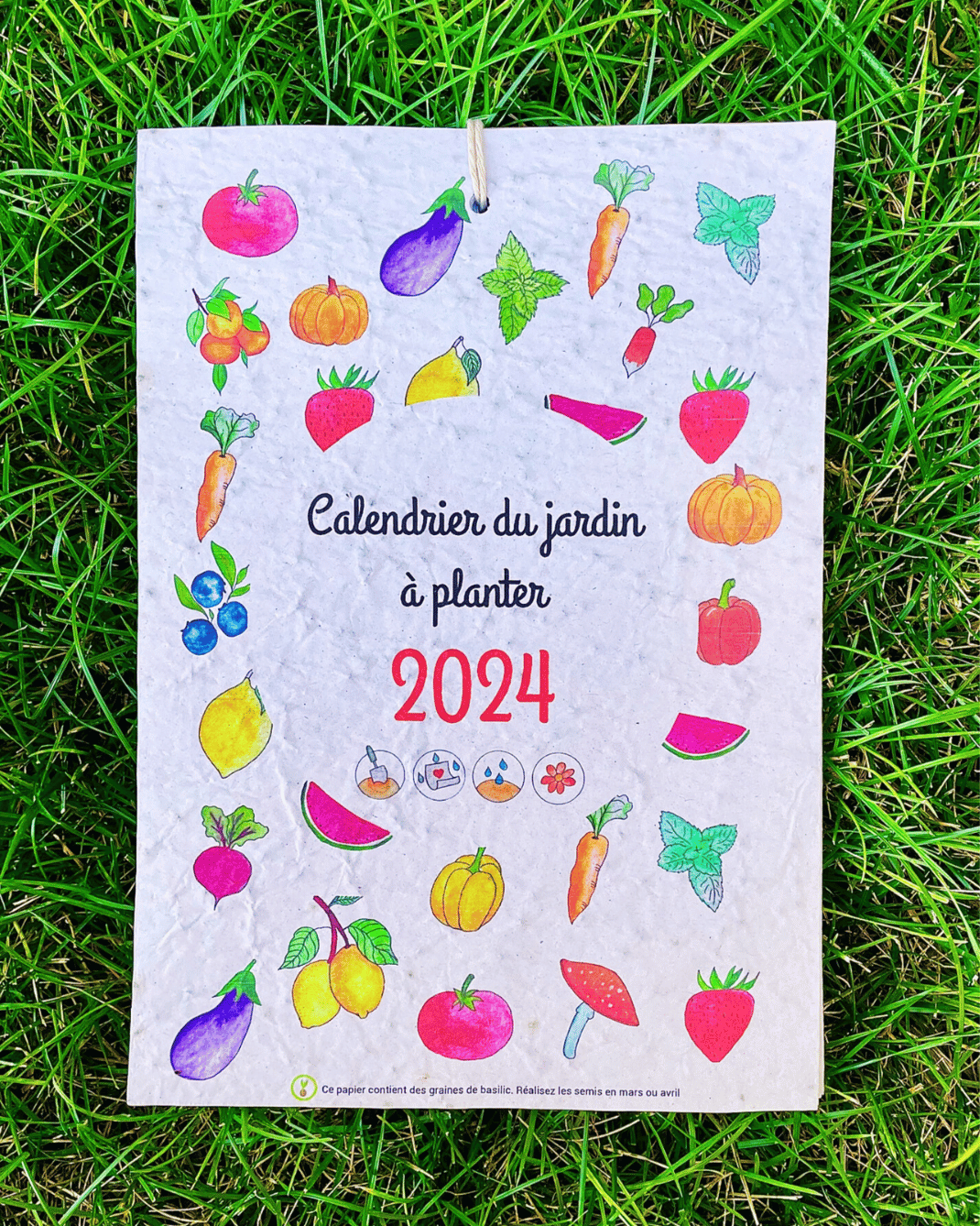 Calendrier à planter fruits et légumes 2024